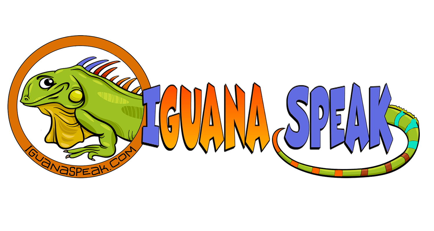 Aprende ingles online y presencial con iguanaspeak